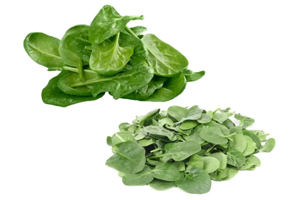 difference between baby spinach and regular spinach