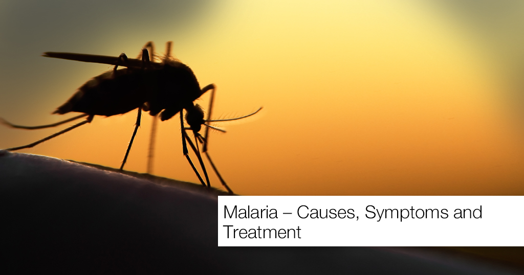 malaria in texas