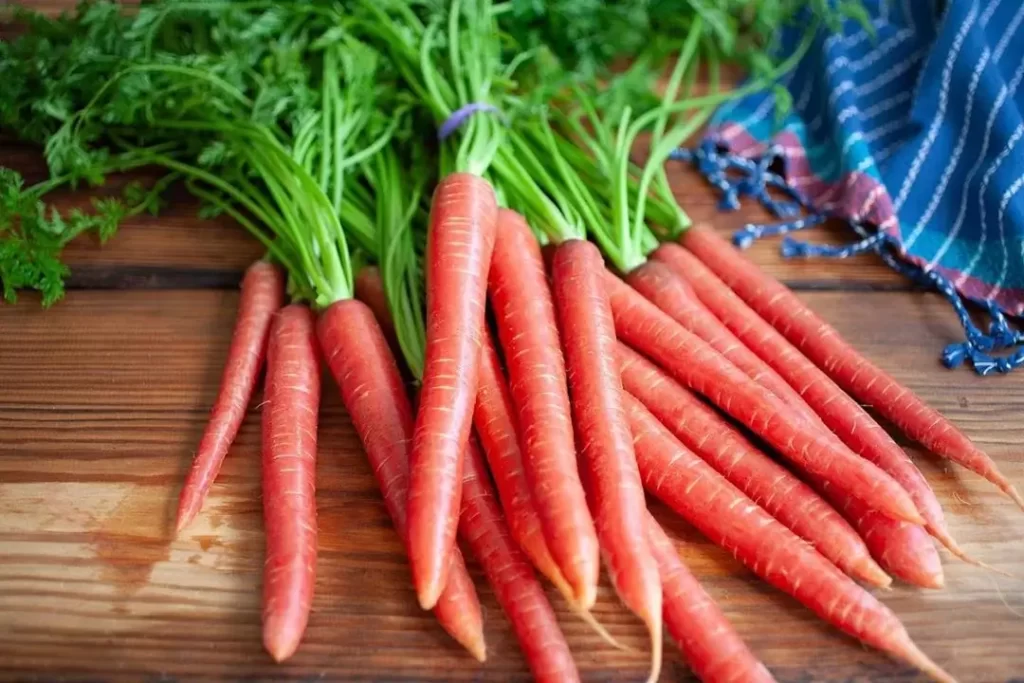 Carrots