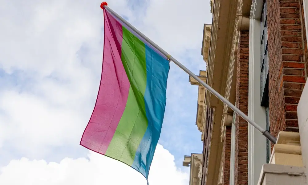 polysexual flag